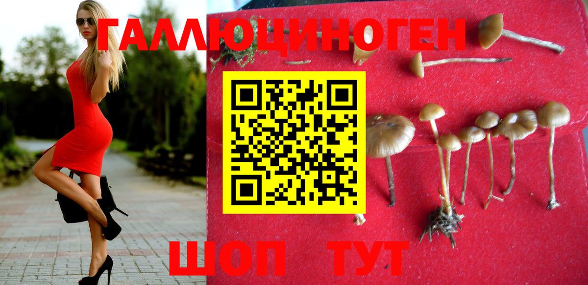 продажа наркотиков  Вход с VPN  Кондопога  Галлюциногенные грибы мицелий 